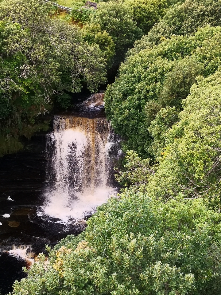 Une cascade entourée d'un feuillage verdoyant.