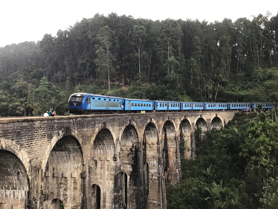 Train circulant sur un pont pittoresque à travers la forêt.