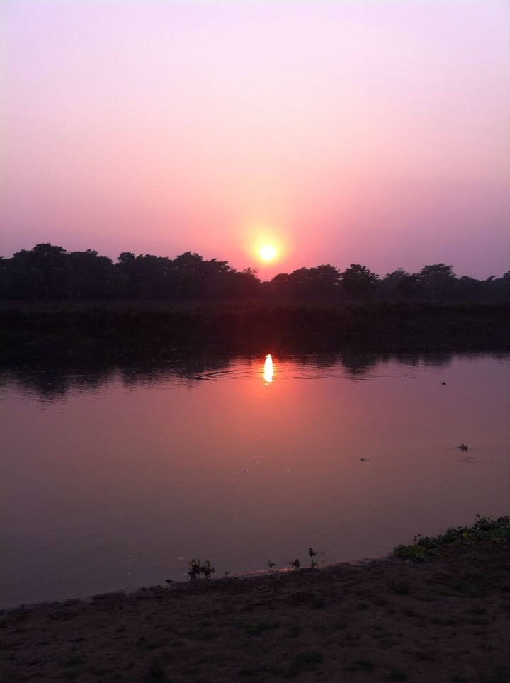 Coucher de soleil sur une rivière avec des arbres luxuriants bordant la rive.