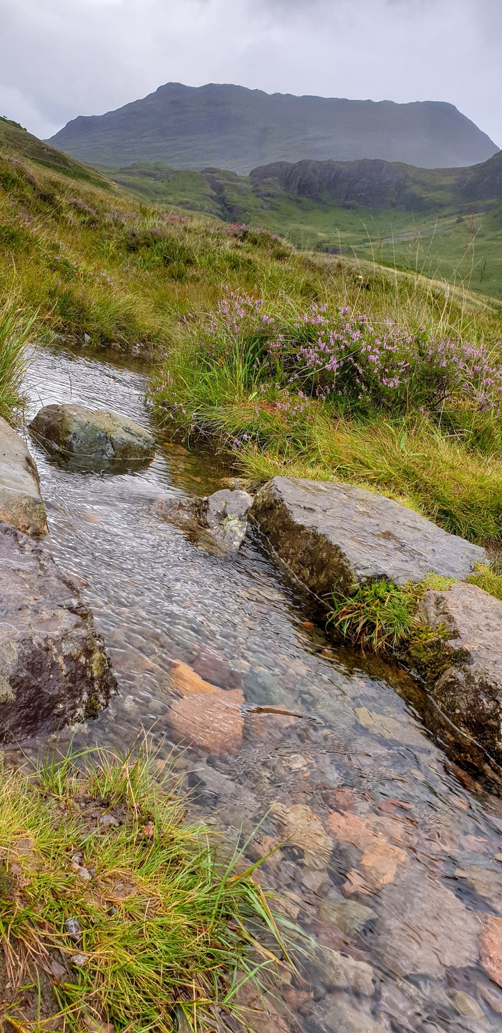 Gros plan de rochers dans un petit ruisseau.