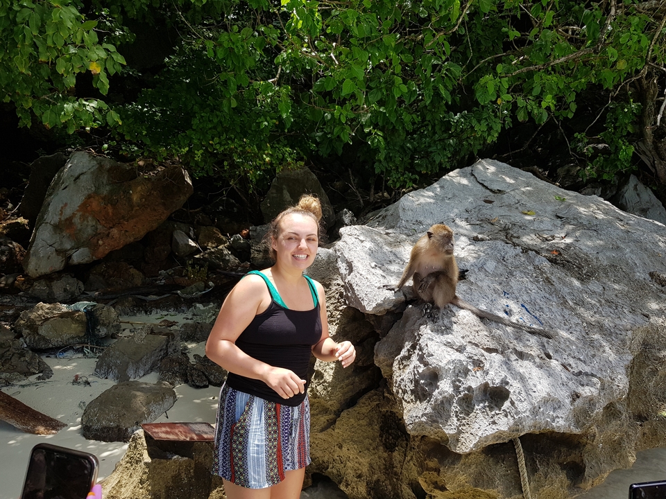Person next to a monkey on a rocky beach.
