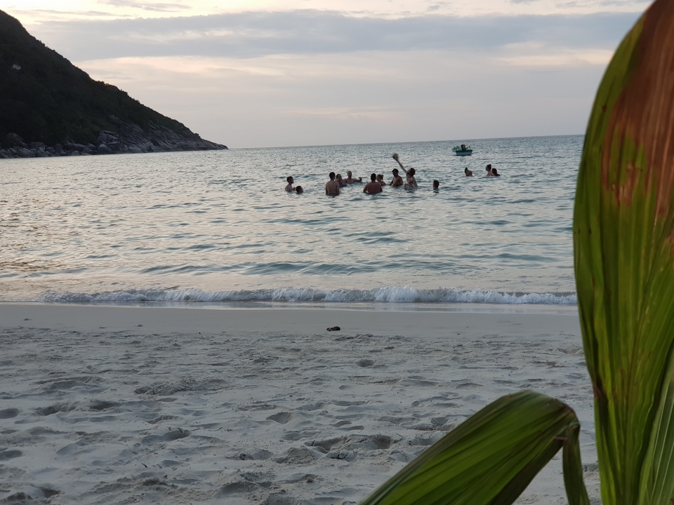 Des gens qui nagent dans la mer au coucher du soleil.