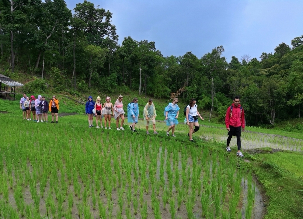 Randonnée de groupe à travers les rizières.