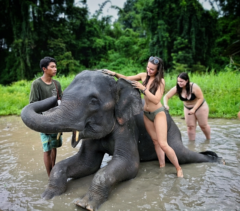 People interacting playfully with an elephant in the water
