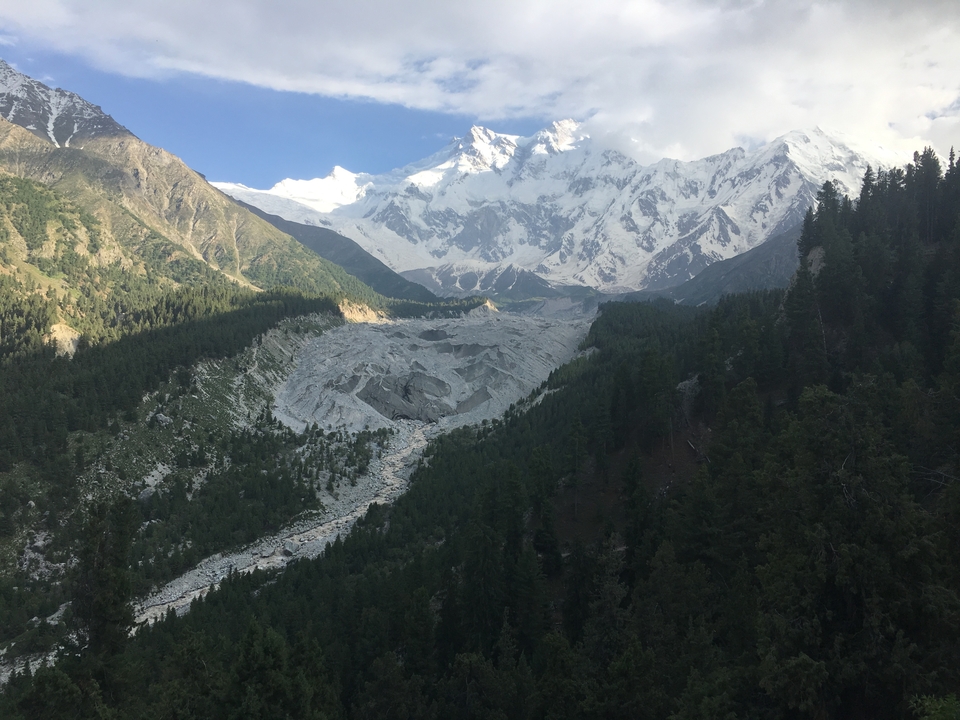 Un glacier et des montagnes entourés de forêt.