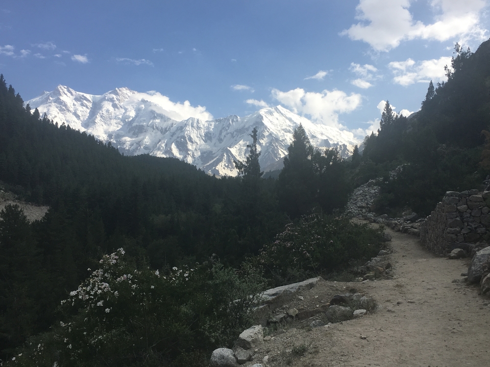 Montagnes enneigées et un sentier forestier.