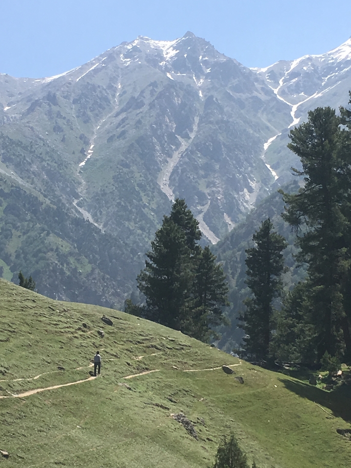 Un paysage de montagne avec une forêt dense.