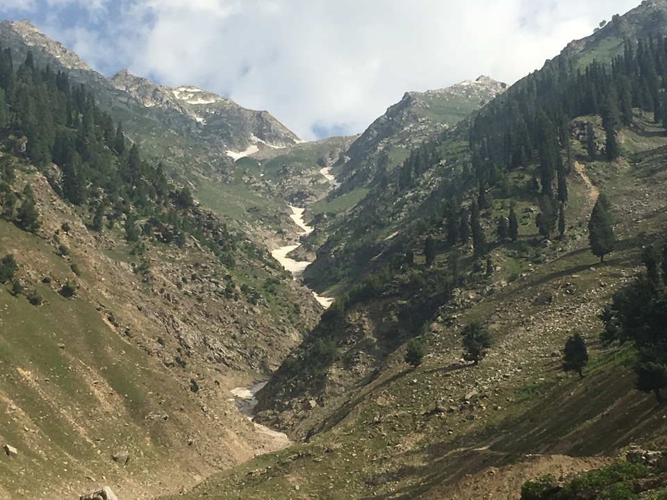 Un paysage montagneux avec des forêts et des plaques de neige.