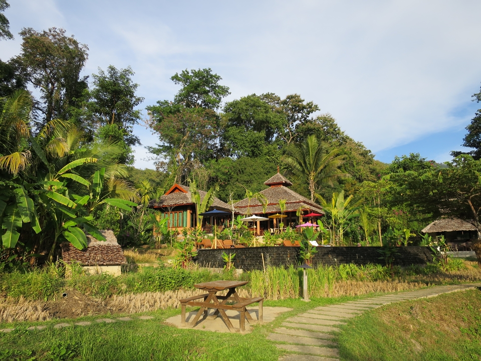Une végétation luxuriante entourant un chalet en bois avec des toits de chaume et des parasols colorés.