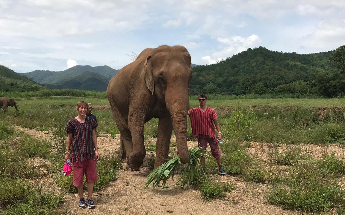 Deux personnes en tenue traditionnelle se tenant debout à côté d'un éléphant dans un paysage luxuriant.