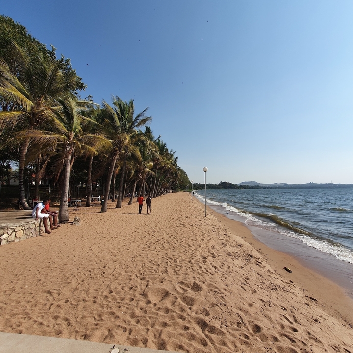 Plage ensoleillée avec des palmiers et des gens qui se promènent