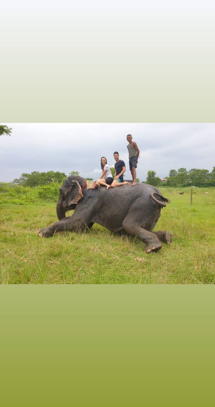 Deux personnes assises sur un éléphant dans un champ herbeux.