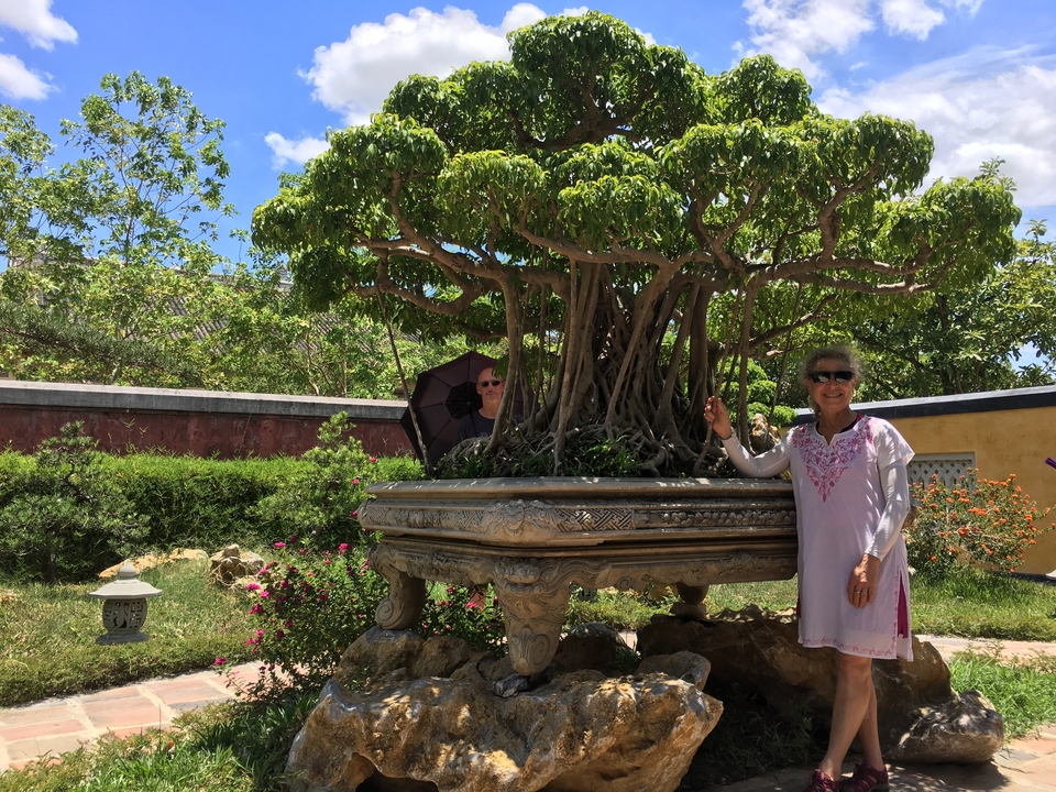 Femme posant à côté d'un grand bonsaï dans un jardin.