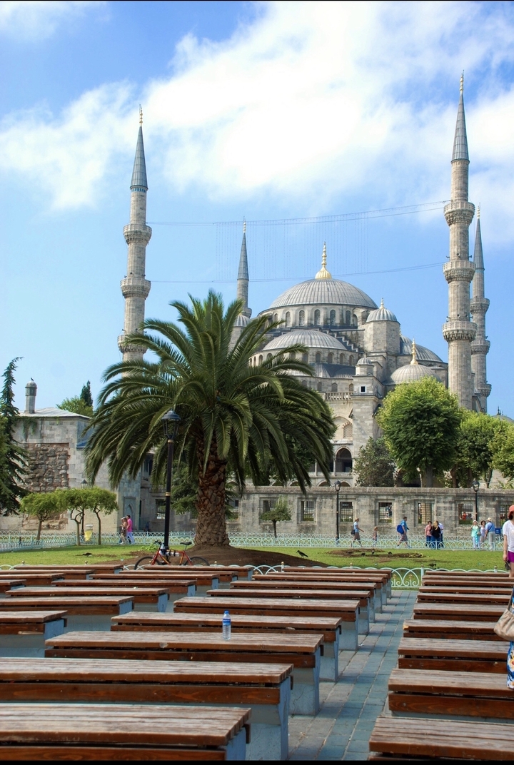 Dômes et minarets de la Mosquée Bleue entourés de verdure.