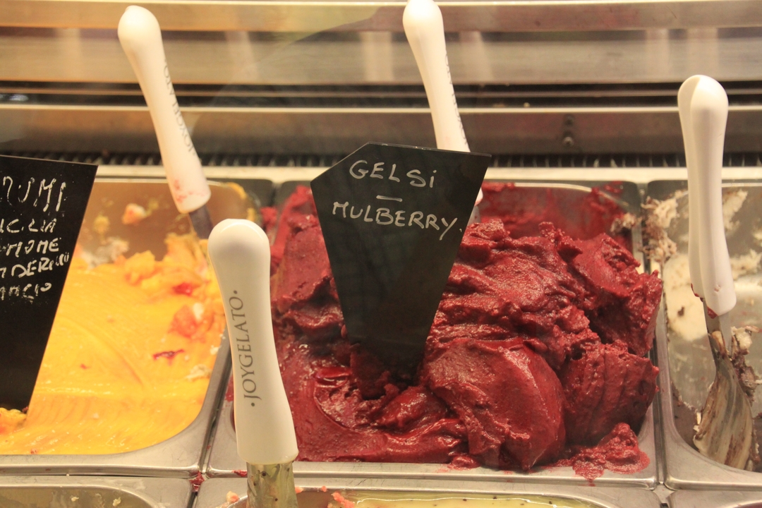 Parfums assortis de gelato avec étiquettes dans une vitrine réfrigérée.