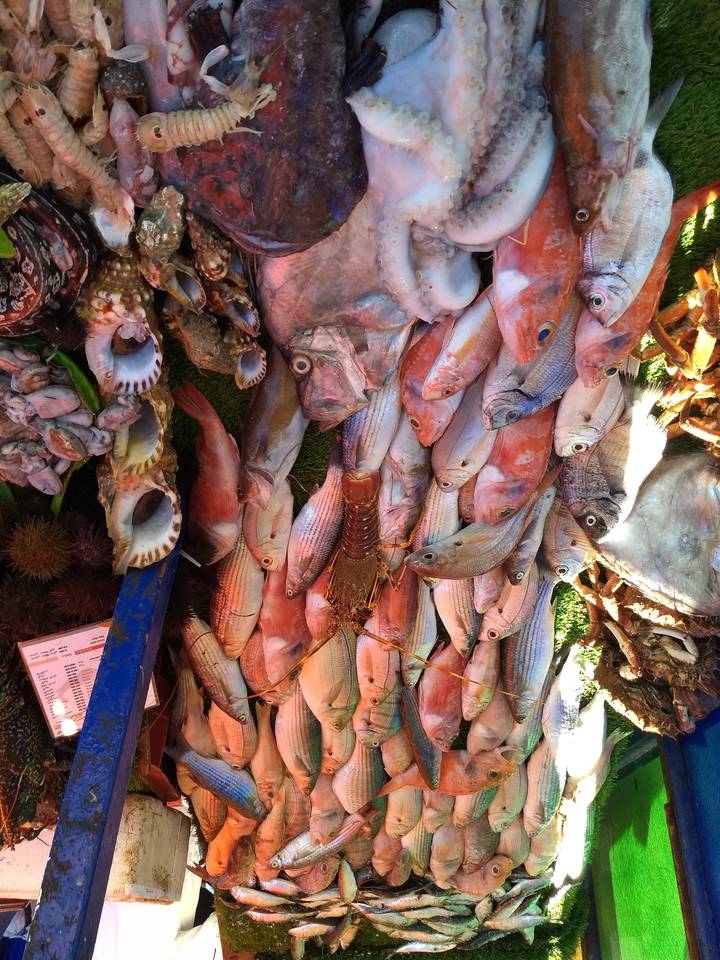 Colorful display of fresh fish in a market.