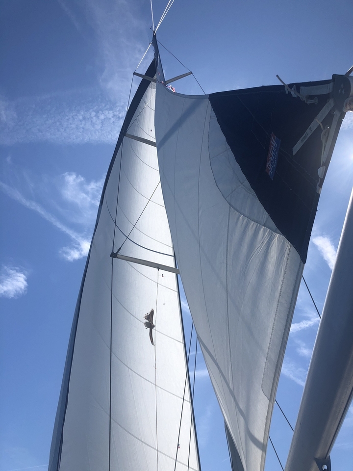 Gros plan d'une voile contre un ciel bleu.