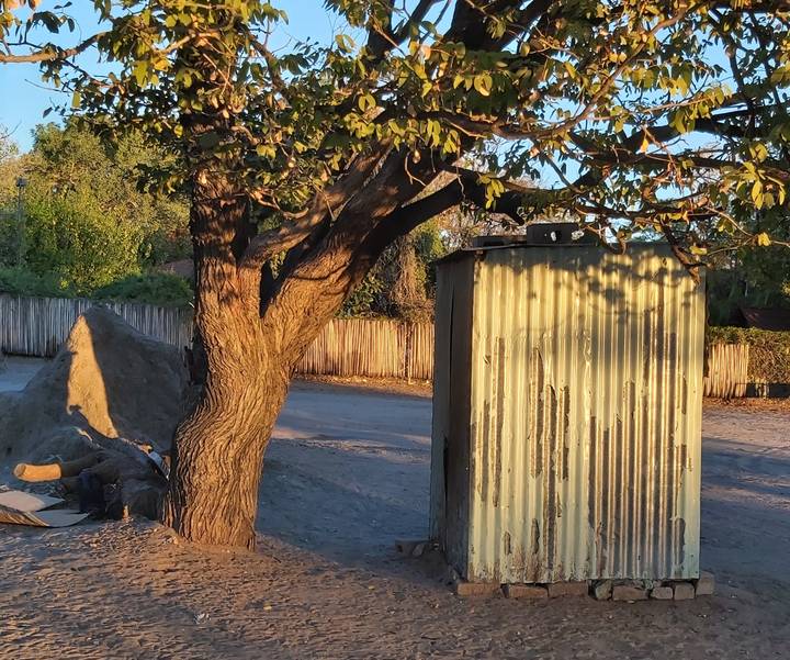 Petite cabane à côté d'un arbre dans une zone ensoleillée.