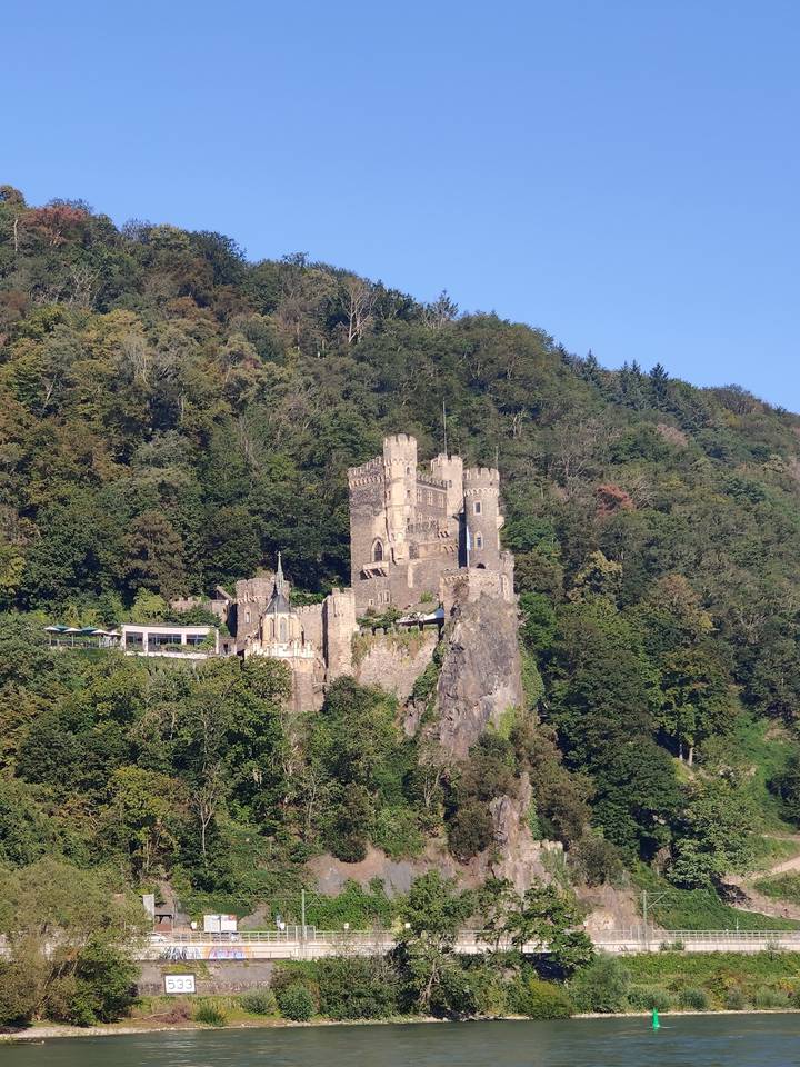 Stone castle with surrounding trees.