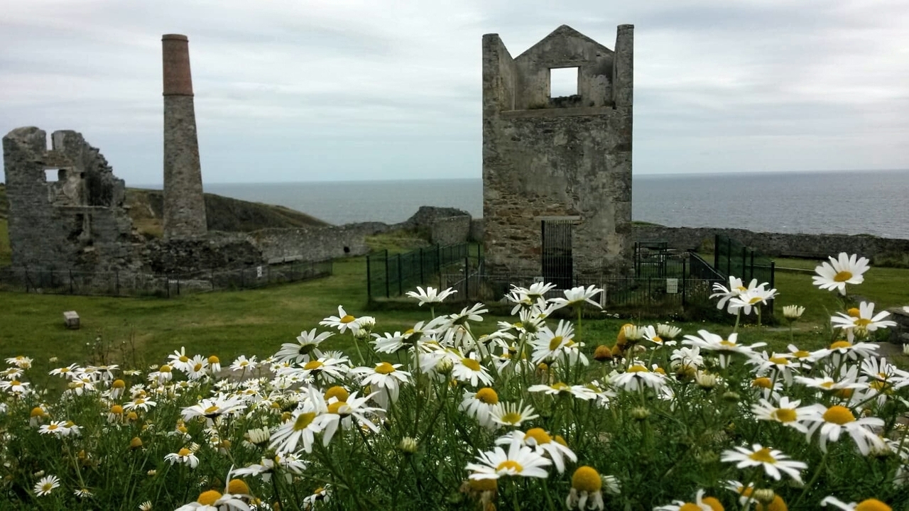 Ruines d'un bâtiment avec des fleurs au premier plan.