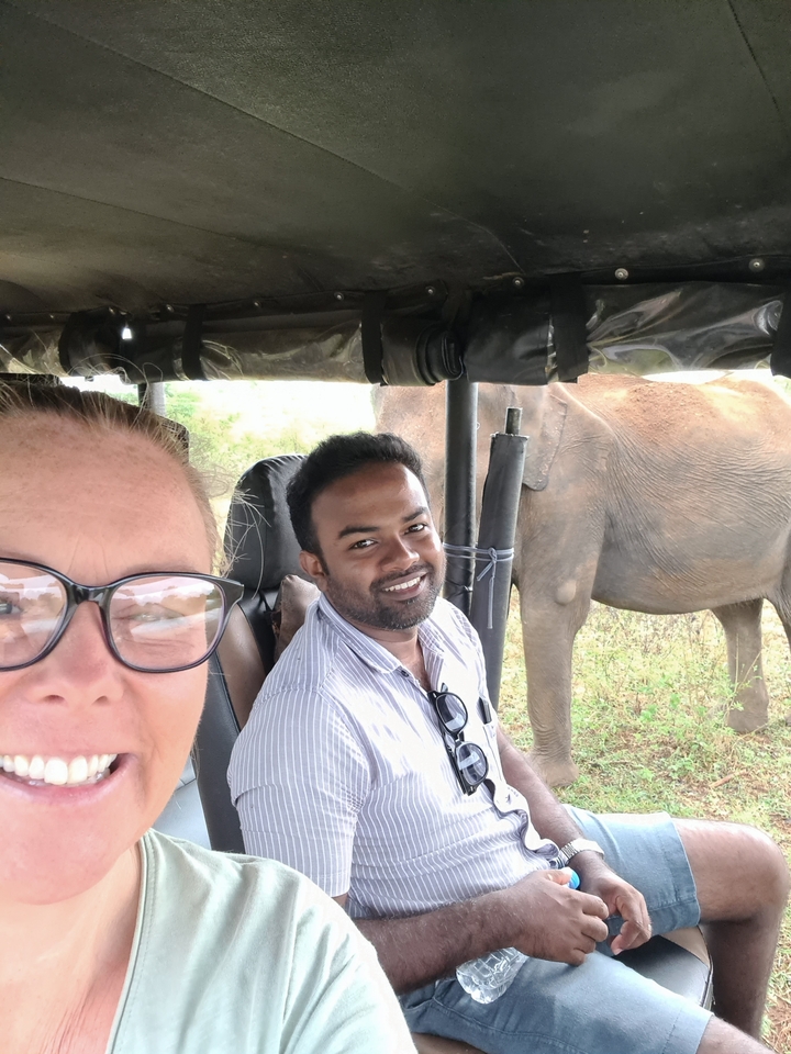 Deux personnes dans un véhicule près d'un éléphant dans la nature.
