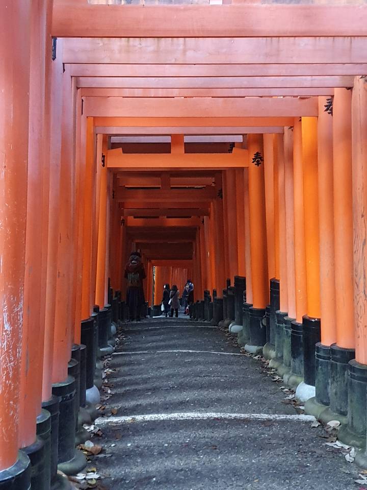 Sentier bordé de torii rouges, des gens marchent à travers.