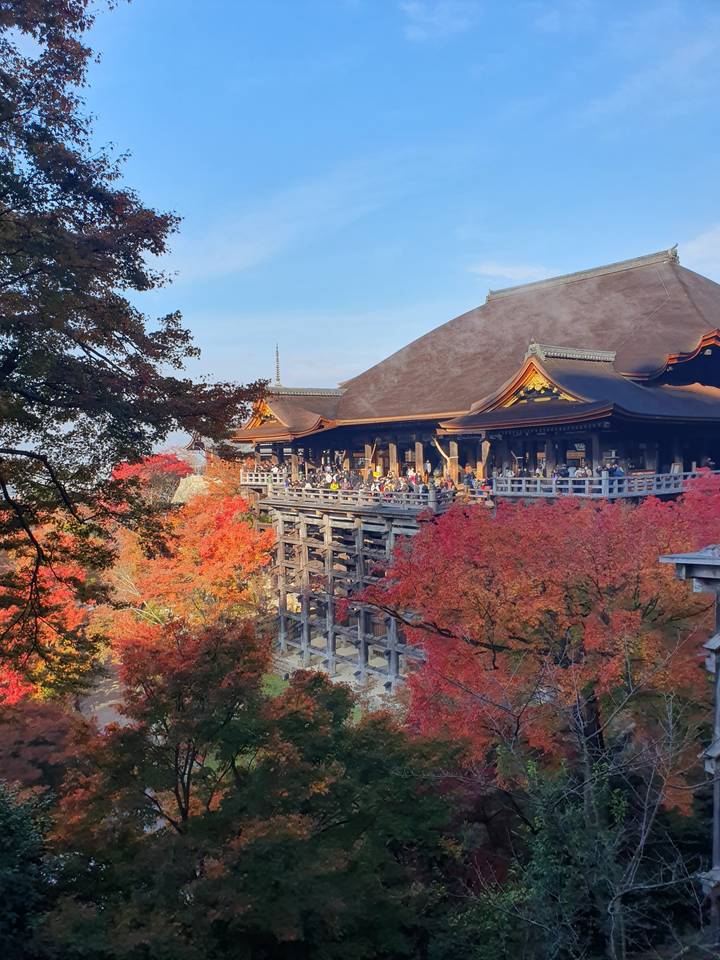 Vue d'un temple avec un feuillage d'automne et un ciel bleu.
