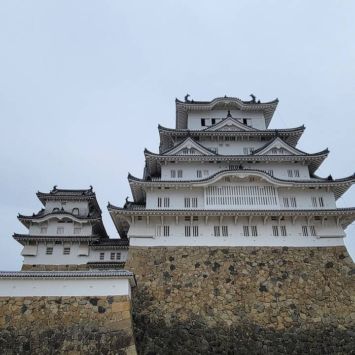 Château japonais traditionnel blanc avec une base en pierre.