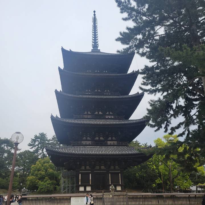 Une pagode à plusieurs étages entourée d'arbres.