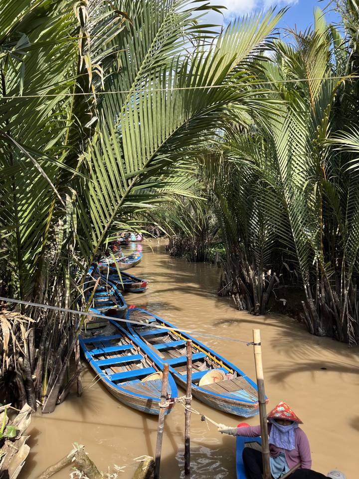 Rangée de bateaux colorés avec des palmiers.