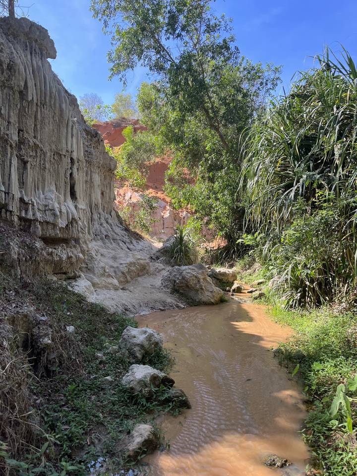 Sentier fluvial avec arbres et formations d'argile.