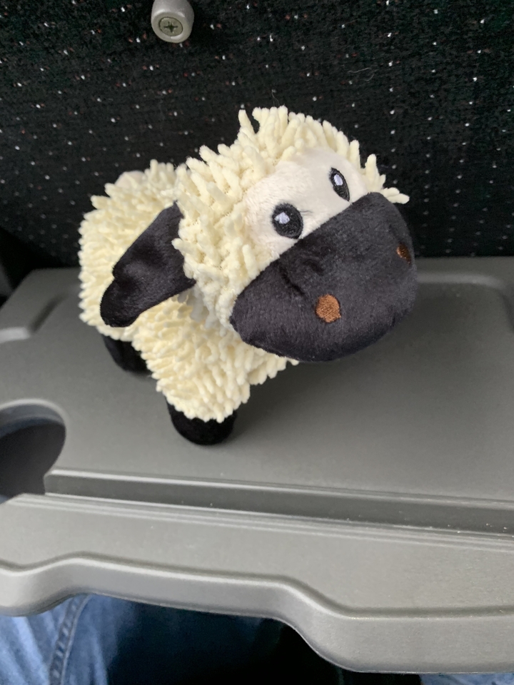Jouet mouton en peluche sur une tablette de véhicule.