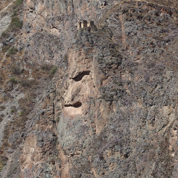 Gros plan d'une paroi rocheuse avec des cavités.