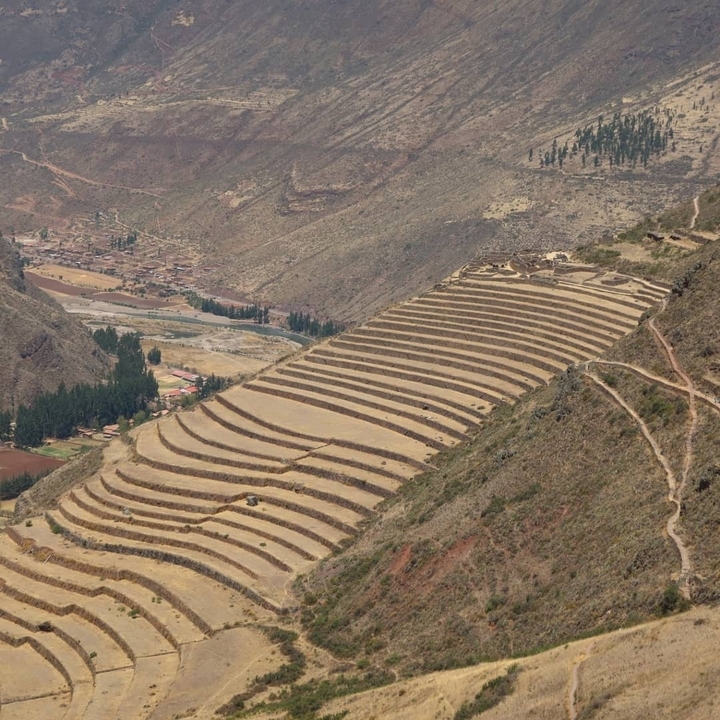 Champs agricoles en terrasses avec un village en arrière-plan.