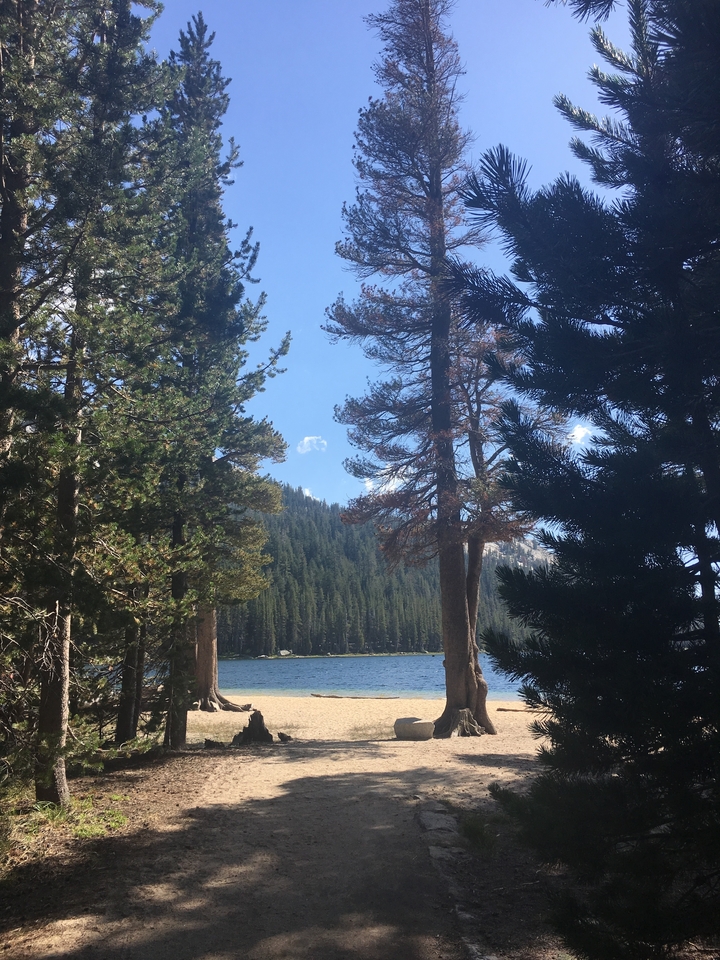 Lac serein encadré par des pins et des montagnes au loin.