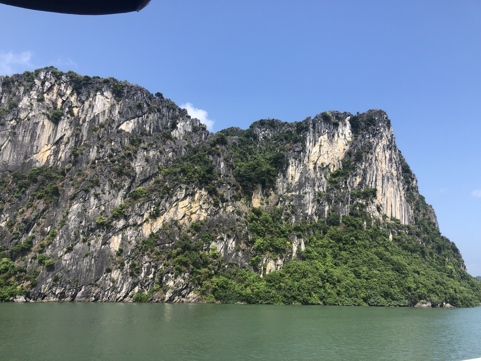 Falaises rocheuses avec un feuillage vert dense s'élevant de l'eau.