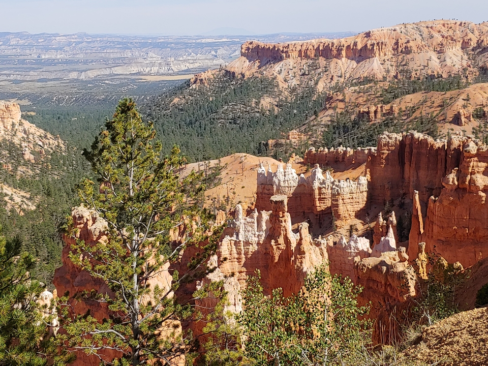 Vue panoramique de Bryce Canyon avec des formations rocheuses et des forêts verdoyantes.
