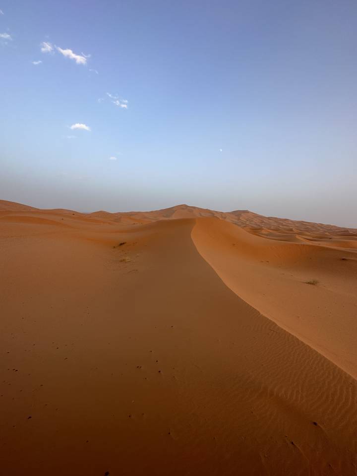 Dunes de sable dans un désert sous un ciel dégagé.