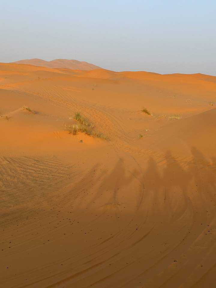 Paysage désertique avec quelques zones de végétation.
