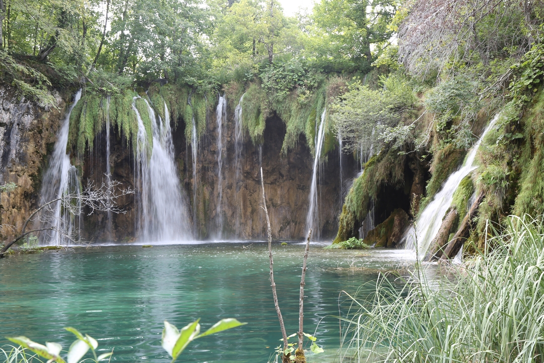 Magnifique cascade avec une végétation luxuriante et une eau turquoise.