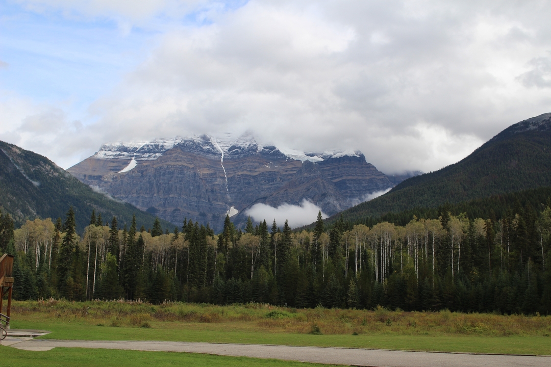 Chaîne de montagnes sous un ciel nuageux avec une forêt au premier plan.