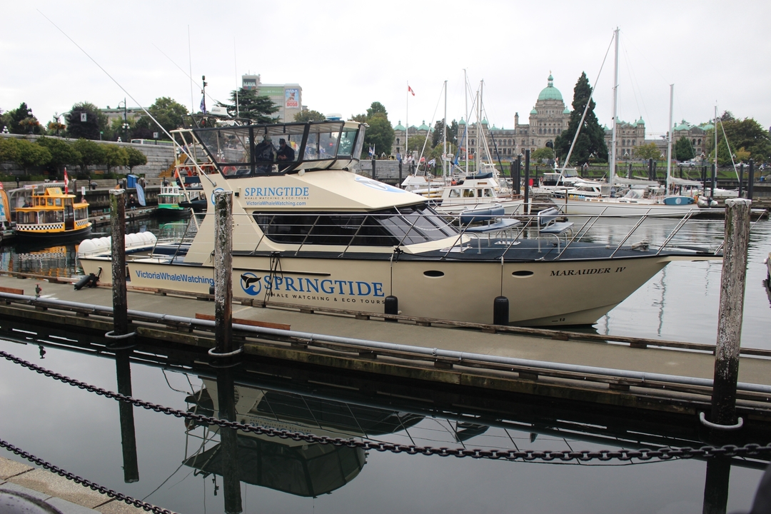 Bateau amarré dans un port de plaisance avec l'architecture de la ville en arrière-plan.