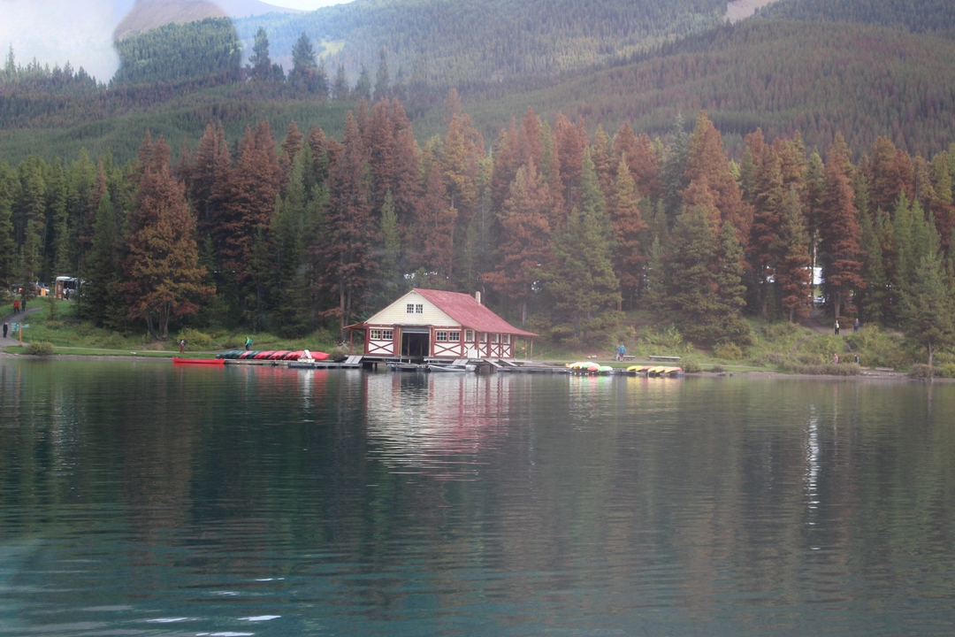 Hangar à bateaux avec des kayaks sur un lac entouré d'arbres.