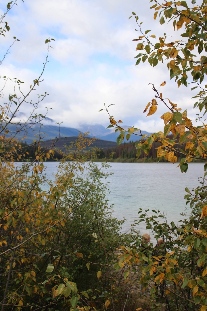 Feuillage d'automne près d'un lac avec des montagnes au loin.
