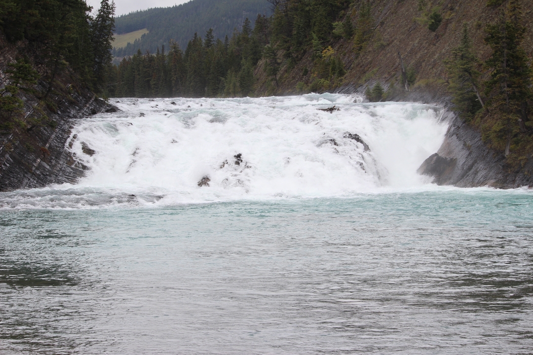 Puissante cascade entourée par la forêt.