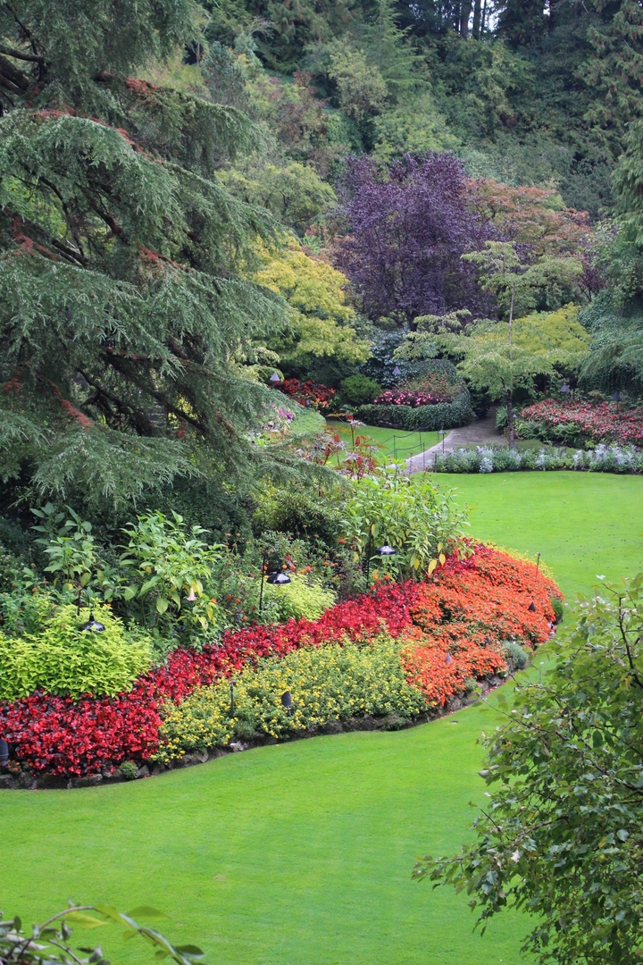 Jardin coloré avec une végétation luxuriante et des allées.