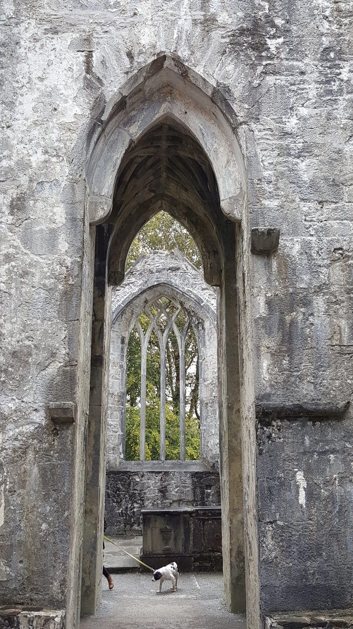 Vue d'arcade de ruines en pierre avec feuillage vert.