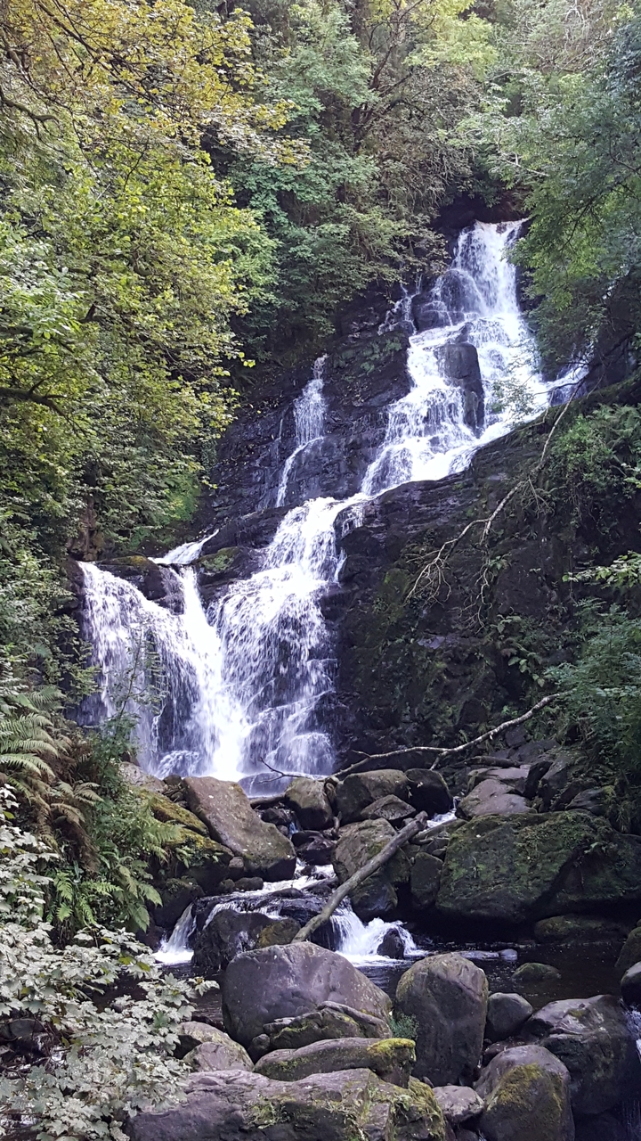 Une cascade en cascades dans un cadre verdoyant luxuriant.
