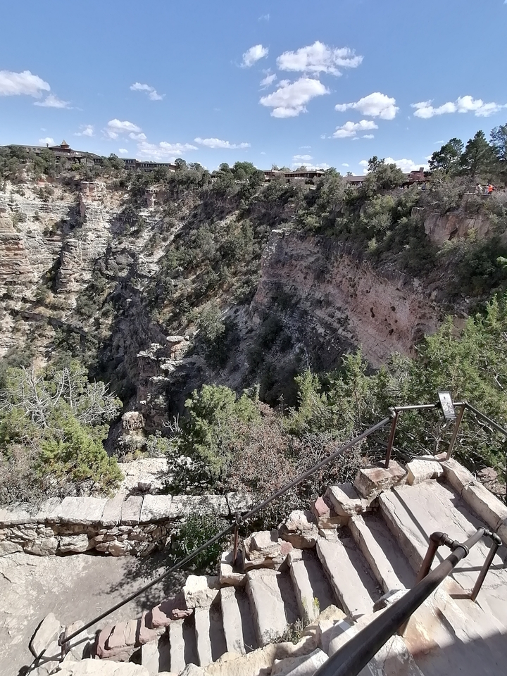 Formations rocheuses avec des arbres au Grand Canyon.