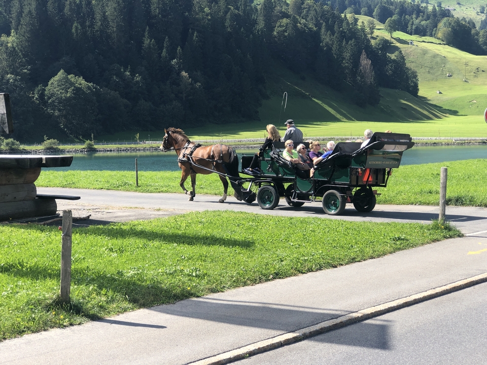 Calèche sur une route panoramique près d'un lac.